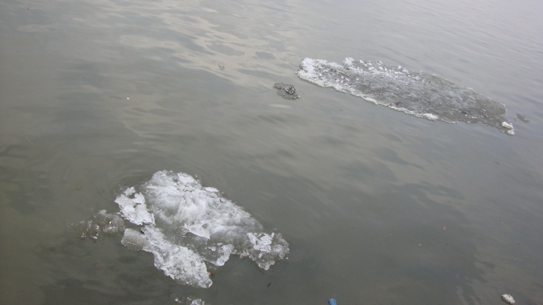 DSC06902_conew1.jpg