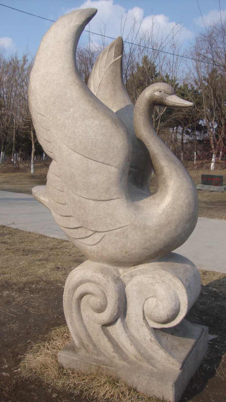 DSC06874_conew1.jpg