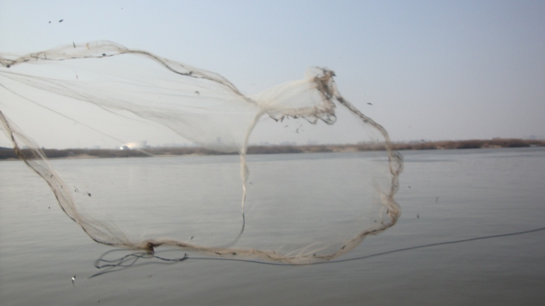 DSC06923_conew1.jpg