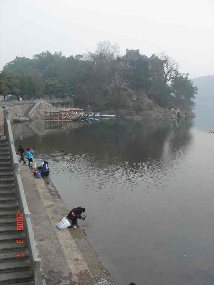 DSC00484.JPG