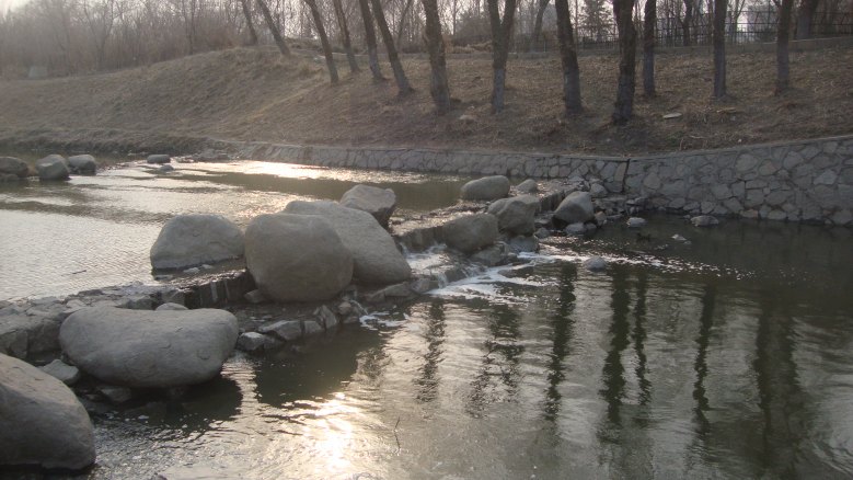 DSC07113_conew1.jpg