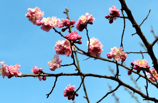 IMG_4395_ͼ_.jpg
