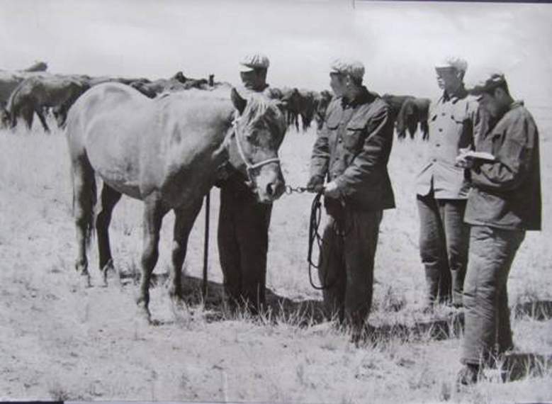 oldphoto_clip_image030_conew1.jpg