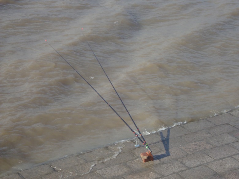 DSC01926_conew1.jpg