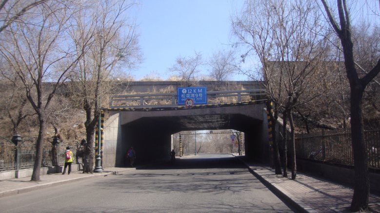 DSC07442_conew1.jpg