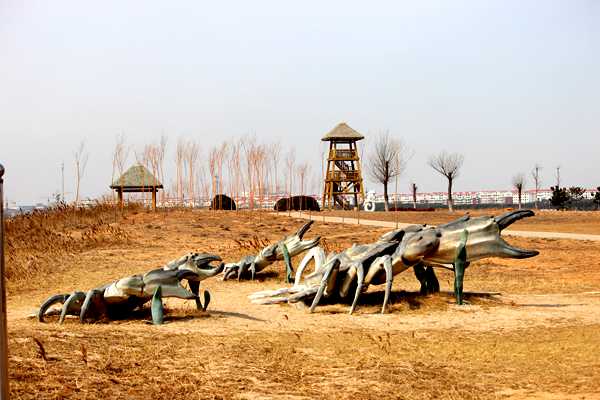 IMG_4033_ͼ_.jpg