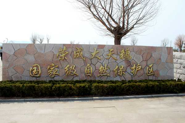 IMG_4120_ͼ_.jpg