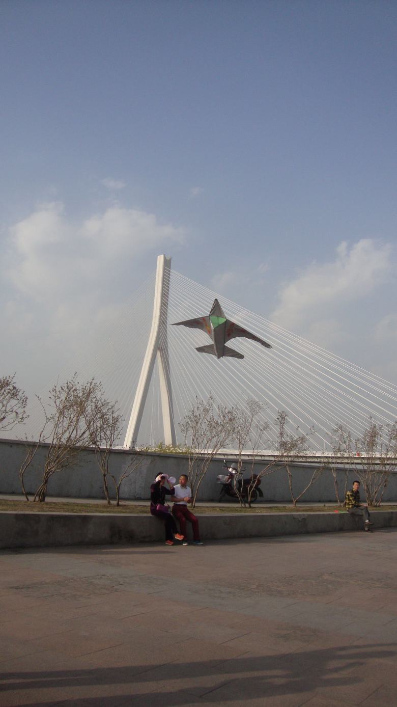 DSC08463_conew1.jpg