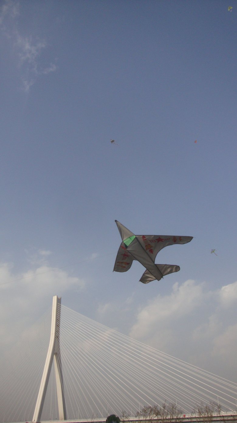 DSC08465_conew1.jpg