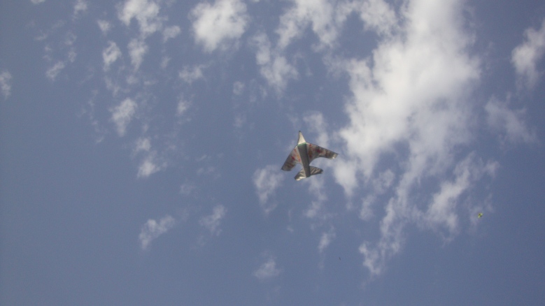 DSC08478_conew1.jpg
