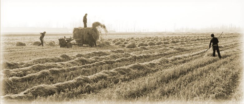 20111127211755500_conew1.jpg