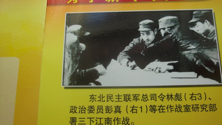 DSC08312_conew1.jpg