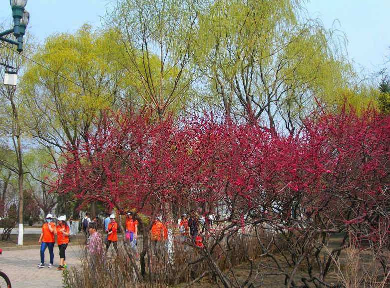 DSCN5347-3.jpg