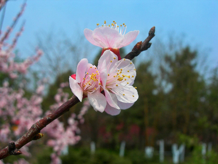 DSCN5351-3.jpg