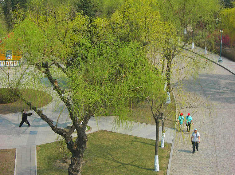DSCN5391-3.jpg