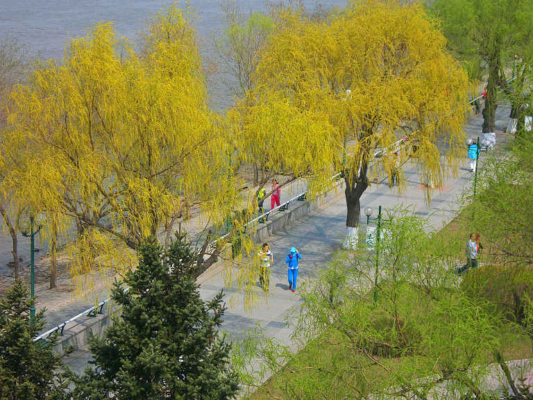 DSCN5441-3.jpg