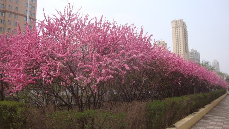 DSC08608_conew1.jpg