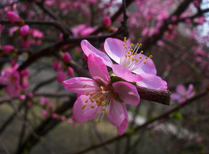 DSCN5495-3.jpg