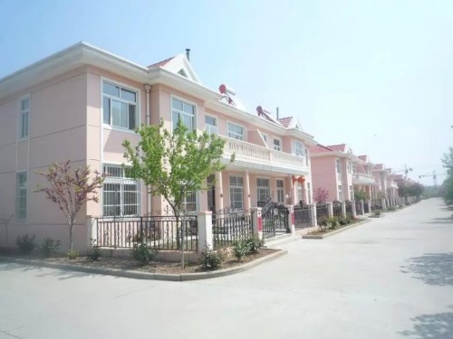 psb (2)_conew2.jpg