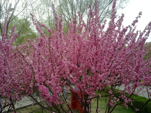 20150429531_conew2.jpg