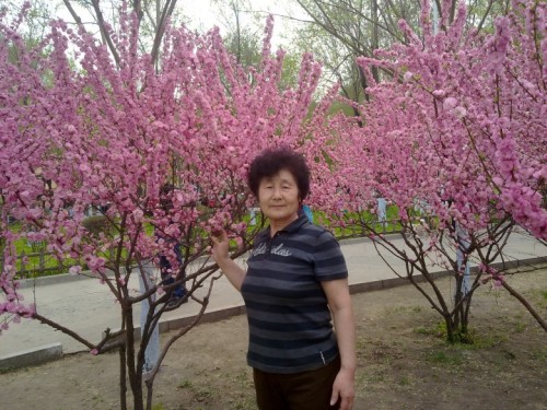 20150429533_conew2.jpg