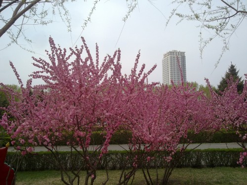 20150429528_conew1.jpg
