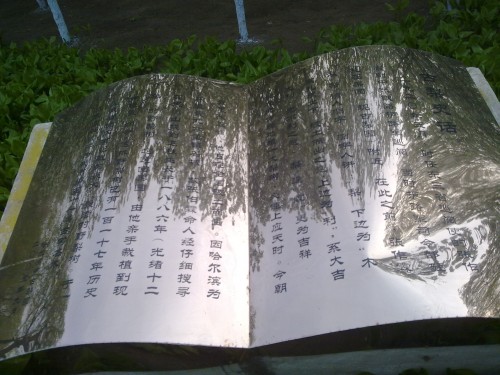 20150429525_conew1.jpg