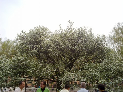 20150429523_conew1.jpg