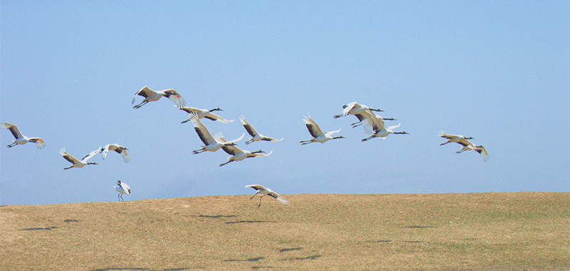 DSC_0182__.jpg