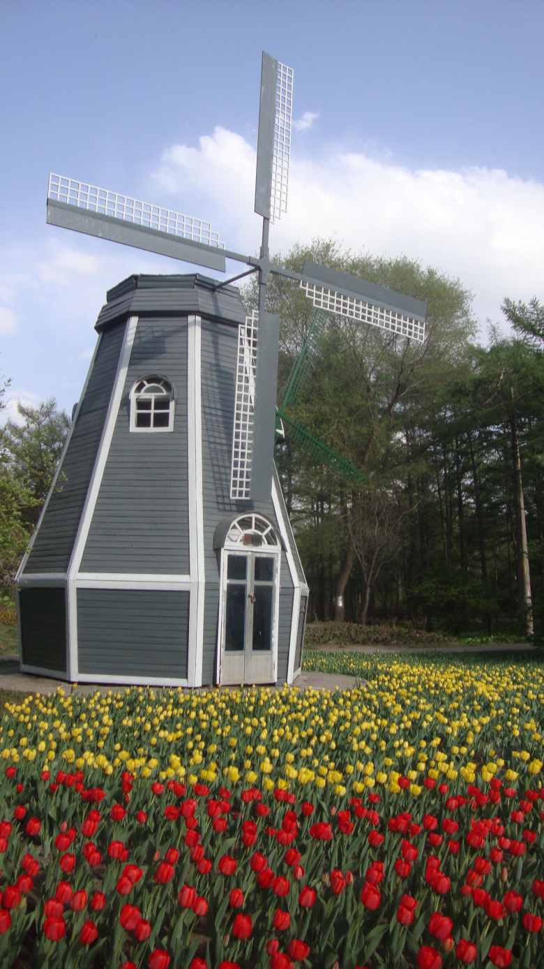 DSC08783_conew1.jpg