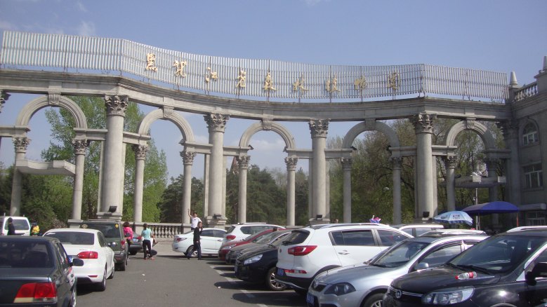 DSC08656_conew1.jpg