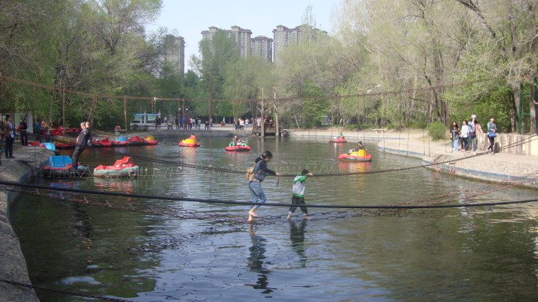 DSC08663_conew1.jpg