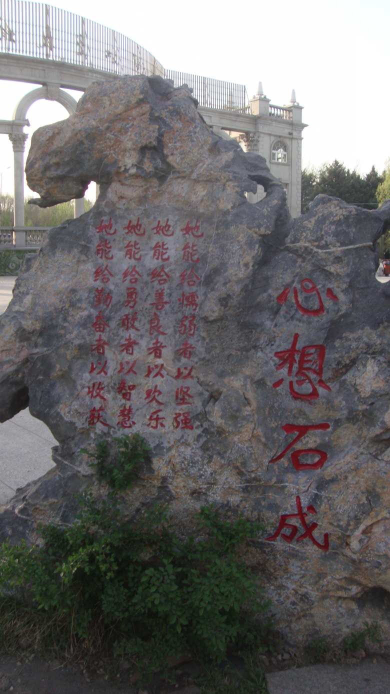 DSC08853_conew1.jpg