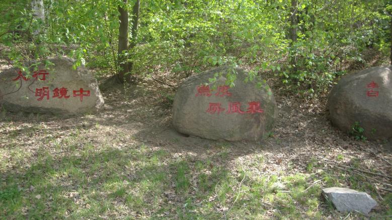 DSC08687_conew1.jpg