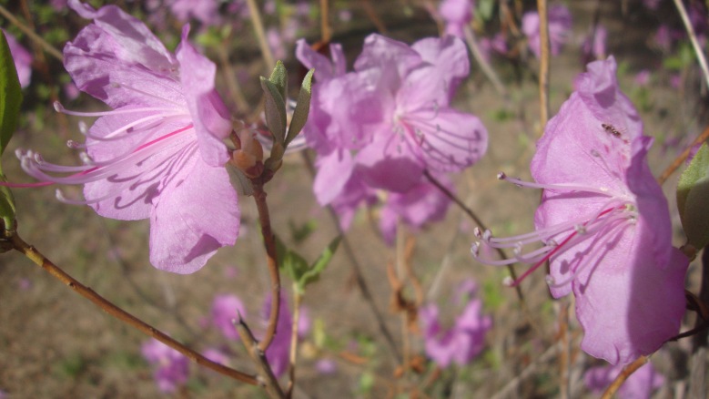 DSC08737_conew1.jpg