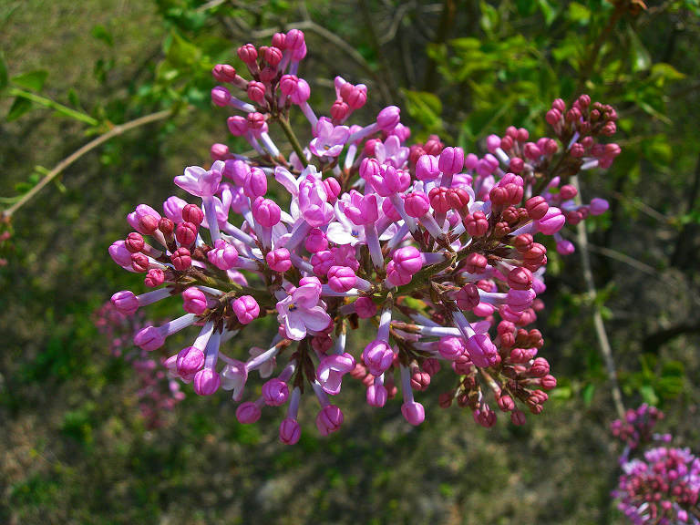 1-DSCN5758-3.jpg