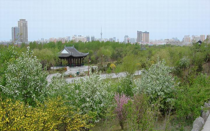 DSC07641_.jpg