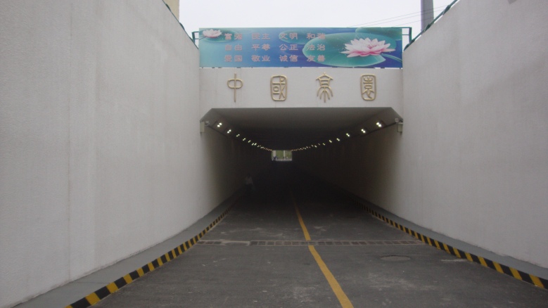 DSC08933_conew1.jpg