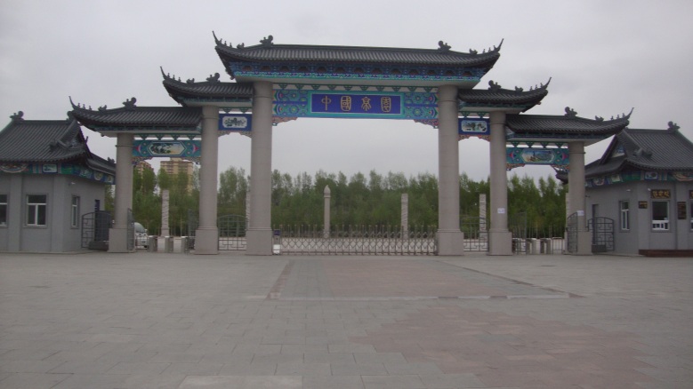 DSC08941_conew1.jpg