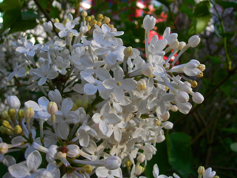 2-DSCN5931-3.jpg