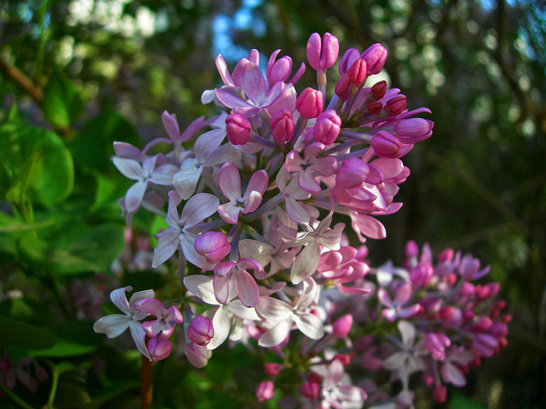 DSCN5878-3.jpg