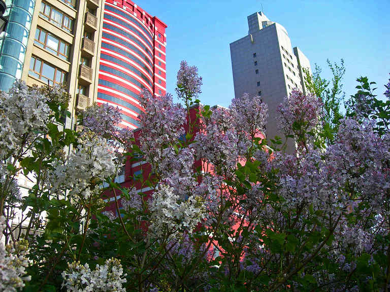 DSCN5935-3.jpg