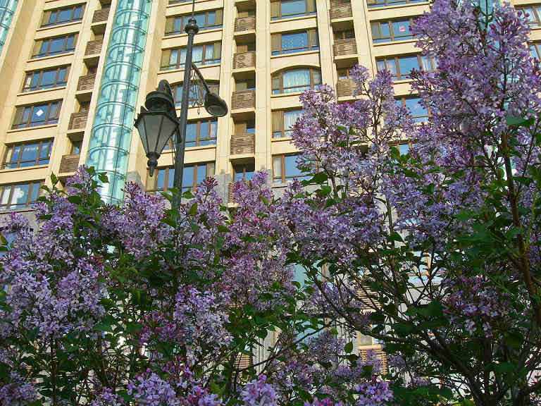 DSCN5936-3.jpg