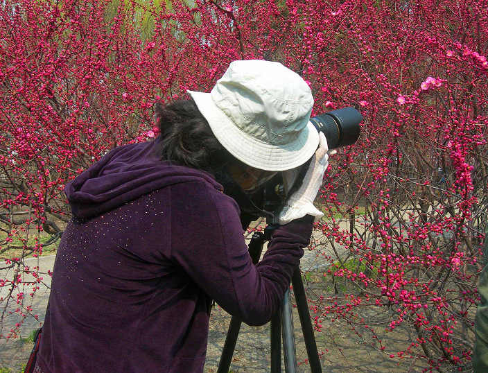 DSCN5330-3.jpg