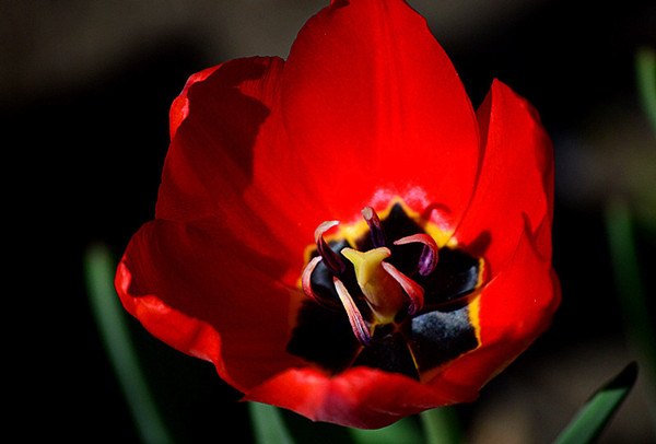 DSC_0693__.jpg