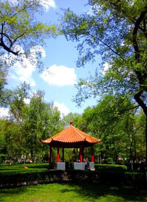 20150509_110017.jpg
