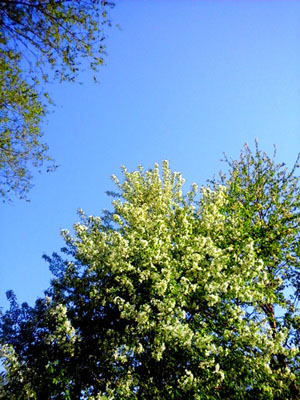 20150506_062518.jpg