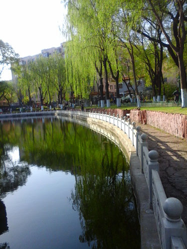 20150506_062907.jpg