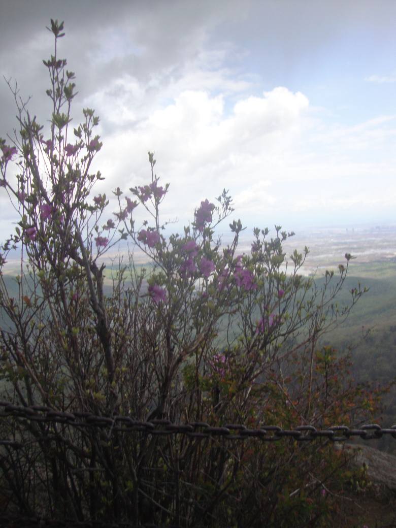 DSC09505_conew1.jpg