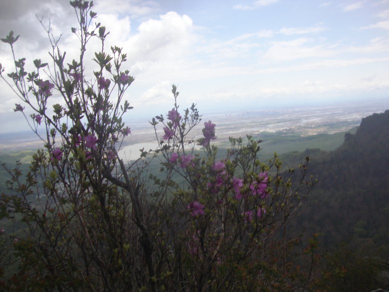 DSC09504_conew1.jpg
